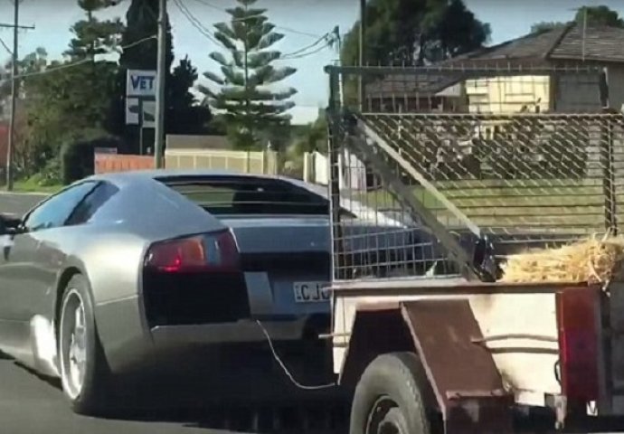 Ovo je najbizarnija vožnja ikada: Na skupog Lamborghinija je zakačio prikolicu s kozama (VIDEO)