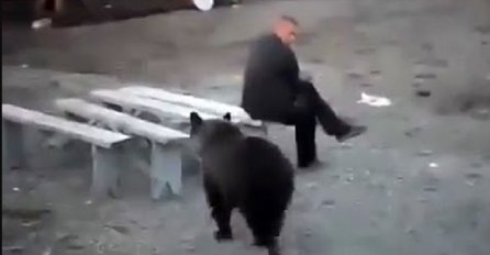 Dok je sjedio na klupi, iza leđa mu se prišunjao medvjed: Ono što je uradio ovaj tip, nikome od nas ne bi palo na pamet! (VIDEO)