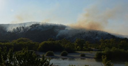 Svi požari u Čapljini ugašeni, požarište na području Dretelja pod kontrolom 