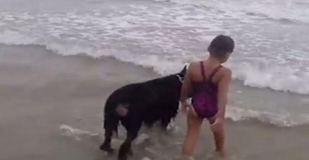 Brižne životinje: Oduševit će vas pas koji spašava djevojčicu od talasa (VIDEO)