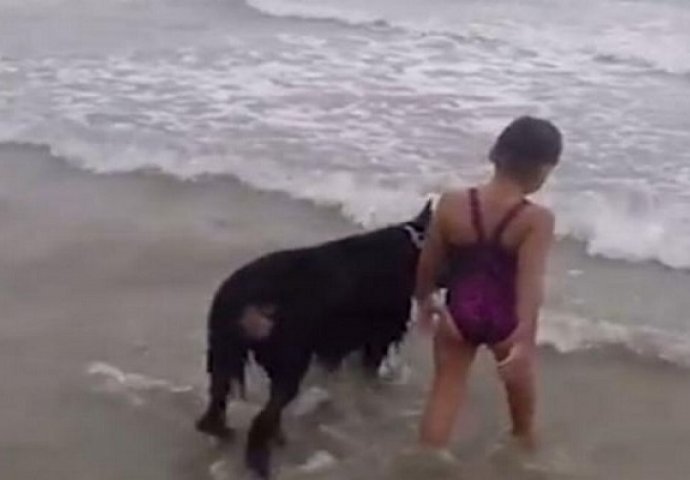 Brižne životinje: Oduševit će vas pas koji spašava djevojčicu od talasa (VIDEO)