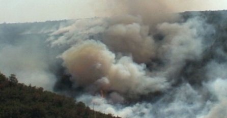 Svi požari na području Trebinja pod kontrolom 