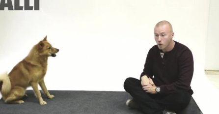 ČUDAN TEST: Pogledajte kako psi reaguju kada čovjek laje na njih (VIDEO) 