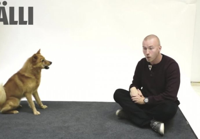 ČUDAN TEST: Pogledajte kako psi reaguju kada čovjek laje na njih (VIDEO) 