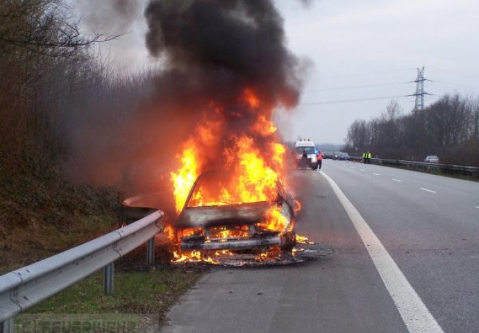 POŽAR GASE TRI VATROGASNE EKIPE: Požar zahvatio okolnu šumu, Renault Megane u potpunosti izgorio 