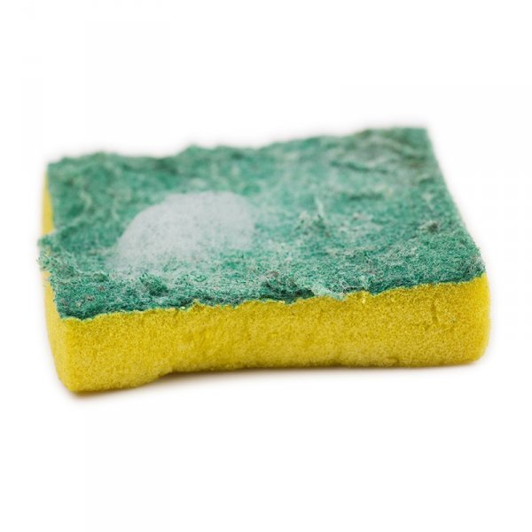 promotional-square-shape-dish-cleaning-scourer-sponge