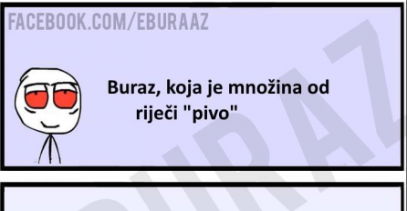 Da li znate koja je množina od riječi pivo?