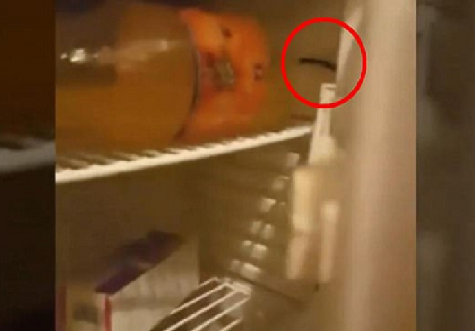 Otišli su na medeni mjesec u Tursku: Kada su u hotelskoj sobi otvorili frižider, nije im bilo dobro! (VIDEO)