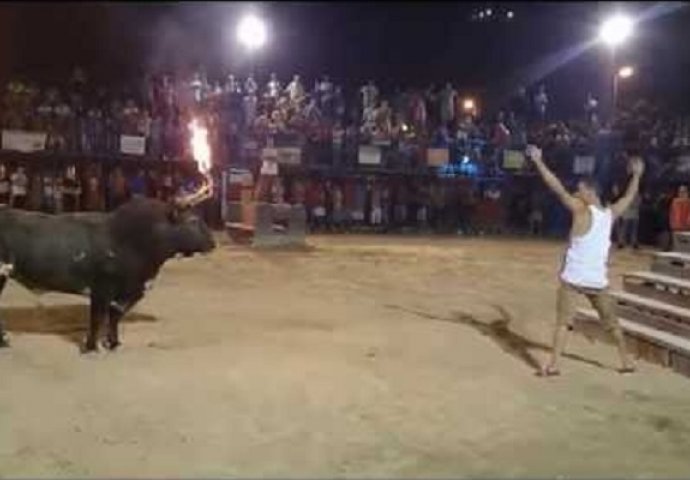 Stao je ispred ogromnog bika i počeo ga izazivati, to mu je bila najveća greška u životu! (VIDEO)