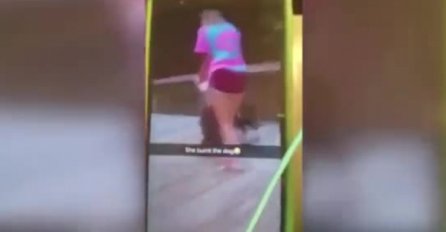 KUDA IDE OVAJ SVIJET: Djevojčica (13) sprejem i upaljačem palila psa, prijateljica sve snimala ( UZNEMIRUJUĆI VIDEO)