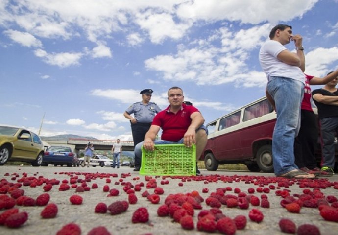 Malinari u BiH prijete protestima: Ne prihvataju otkupnu cijenu manju od 3 KM