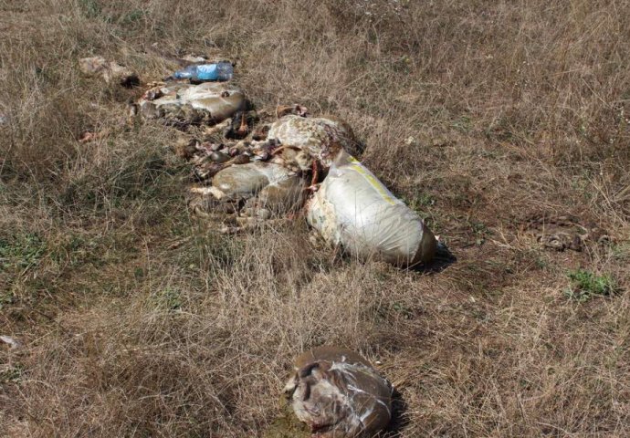 UZNEMIRUJUĆE SCENE: Sarajlije istresale ostatke kurbana u vodozaštitnu zonu (FOTO)