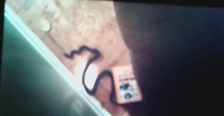 U sred noći je krenuo do toaleta, sapleo se i pogledao u pod i PRETRNUO OD STRAHA! 