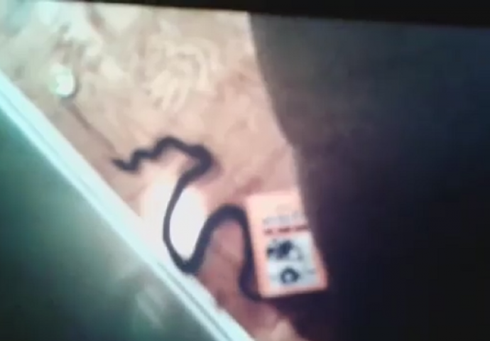 U sred noći je krenuo do toaleta, sapleo se i pogledao u pod i PRETRNUO OD STRAHA! 