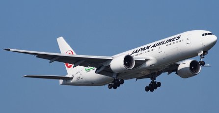 NEOBIČAN INCIDENT: Avion prinudno sletio zbog sudara sa pticom