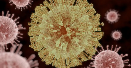 Virus Zika uništava karcinom kod odraslih osoba? 