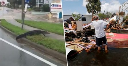 NAKON KATASTROFALNOG URAGANA NOVA OPASNOST PRIJETI FLORIDI: Aligatori i zmije šetaju ulicama (VIDEO)