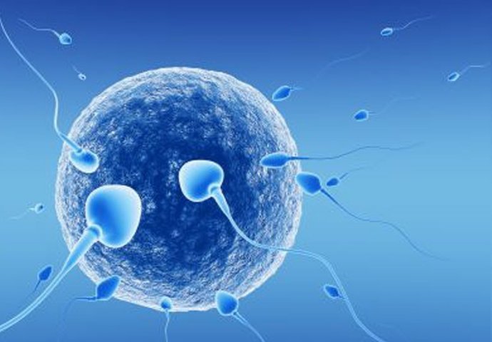 Sperma je dobar pokazatelj muškog zdravlja, PROVJEROM MIRISA ILI BOJE SVOJE SPERME MOŽE PROVJERITI DA LI...