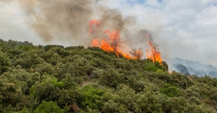 Izbio novi požar, na terenu 34 vatrogasca (FOTO)