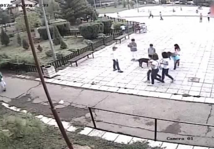 STRAVIČNA SCENA: Kamere snimile kako Pitbull napada djevojčicu u školskom dvorištu (UZNEMIRUJUĆI VIDEO)
