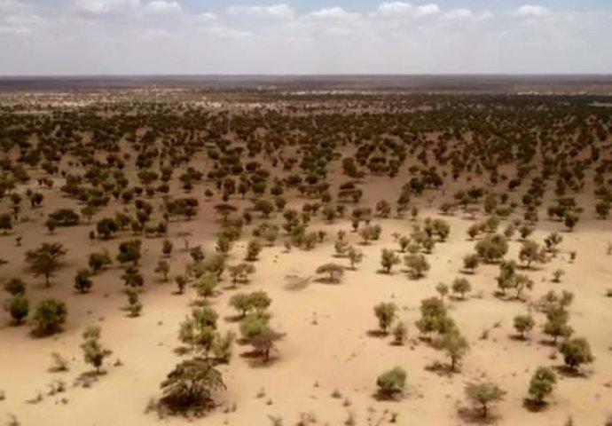 Borba protiv Sahare: Sade 7700 km pruge stabala
