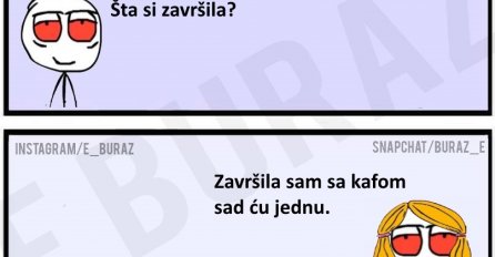 Šta si završila?