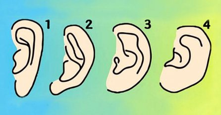 Što oblik vaših ušiju govori o vama: ČETVORKE SU POSEBNE – EVO ZAŠTO!