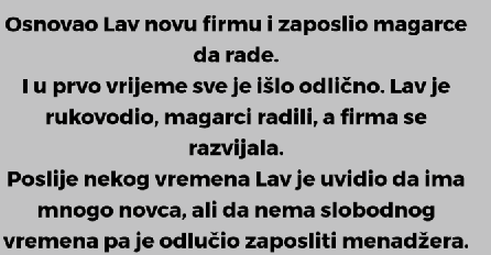 Kada LAV osnuje firmu… 