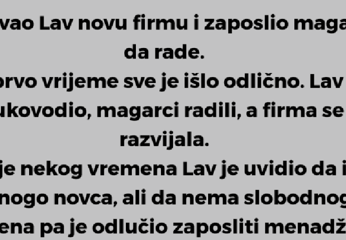 Kada LAV osnuje firmu… 