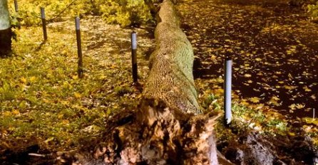 UDARI VJETRA I DO 130 KILOMETARA NA SAT: U olujnom nevremenu dvoje mrtvih, 39 povrijeđenih, 840.000 bez struje