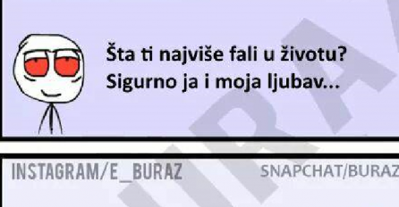 Zumri fali samo jedna stvar u životu...