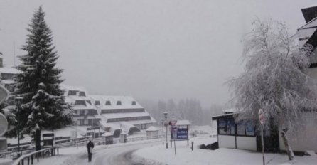 SNIJEG NAPADAO KAO DA JE JANUAR: Drveće puca pod teretom, napadalo 24 centimetra snijega! (FOTO)