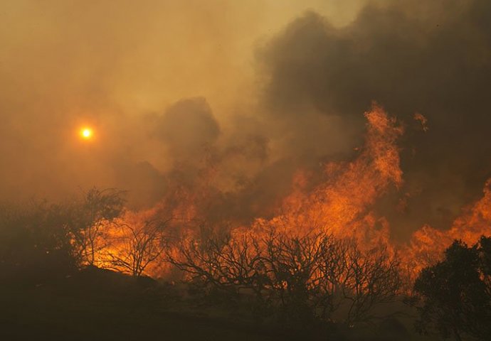 PROGLAŠENO VANDREDNO STANJE: Požari gutaju sve pred sobom, hiljade kuća evakuisano (FOTO)