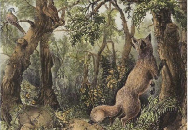 5707e6ea-abc0-4462-8796-157a0a0a0a6c-zagonetka-690x480