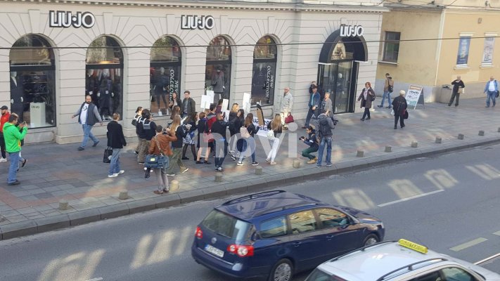 22404351-1552892948104095-627104775-o