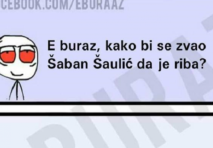 BURAZ I "NJEGOVA" IMENA POZNATIH PJEVAČA 