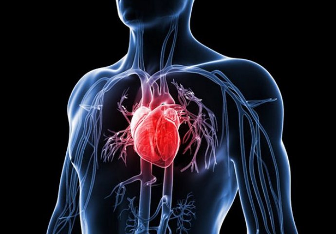 Čuveni hirurg otkrio istinu o srčanim bolestima: SVE JE TO LAŽ, EVO ŠTA TREBATE RADITI!