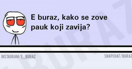 Znate li kako se zove pauk koji zavija? 