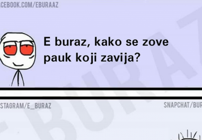 Znate li kako se zove pauk koji zavija? 