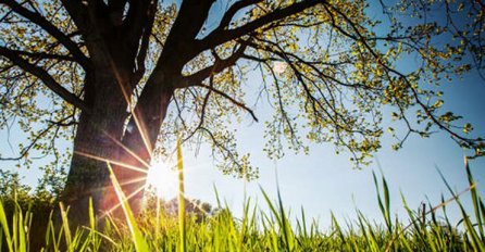 VREMENSKA PROGNOZA: U BiH danas sunčano uz malu oblačnost