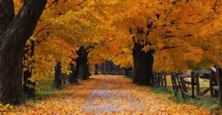 Stabilnije vremenske prilike ugodno će djelovati na većinu stanovništva