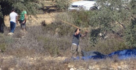 SRAMNA PLJAČKA!Ovako jevrjeski doseljenici kradu palestinske masline (VIDEO)