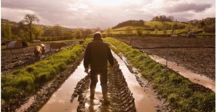Ako je poljoprivredna politika EU tako dobro, zašto se ubijaju francuski farmeri? 