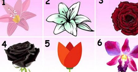 IZABERITE CVIJET KOJI VAM SE NAJVIŠE SVIĐA: Tako ćete saznati TAJNU vašeg karaktera!