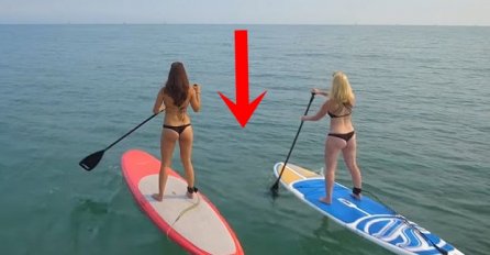 Dvije djevojke u bikinijima veslale su na surferskim daskama. Čekajte da vidite šta ih je vrebalo iz morskih dubina! (VIDEO)