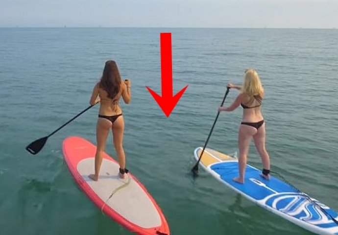 Dvije djevojke u bikinijima veslale su na surferskim daskama. Čekajte da vidite šta ih je vrebalo iz morskih dubina! (VIDEO)
