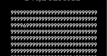 UKOLIKO OVO VIDITE, VAŠ VID JE SJAJAN: Možete li pronaći ove brojeve za manje od 10 sekundi?(FOTO)