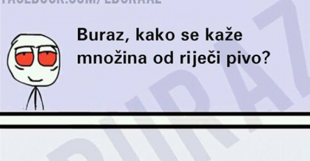 Kako se kaže množina od riječi pivo? 