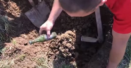 HIT: Šta rodi kada Bosanac posadi pivo? (VIDEO)