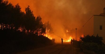 STRAŠNA BORBA PROTIV POŽARA: Vatra progutala 2.000 hektara šume